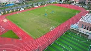 大谷翔平击败洋基双星，夺得美联年度最佳新秀